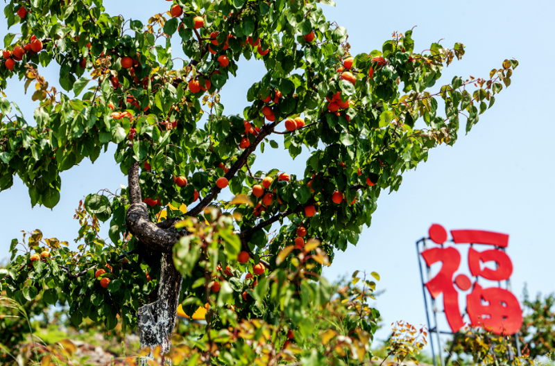 圖片.png 圖片.png