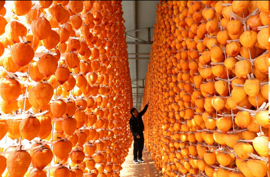 圖片.png 圖片.png