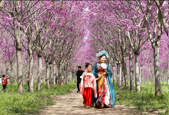 圖片.png 圖片.png