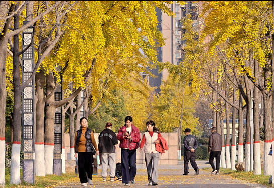 圖片.png 圖片.png